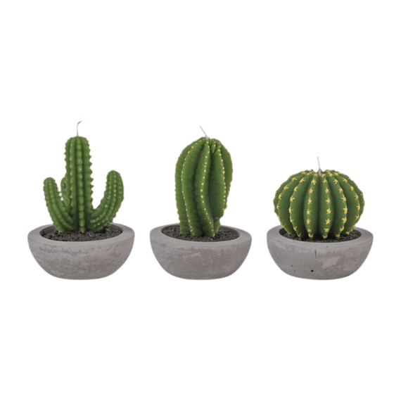 &klevering Cactus Candle