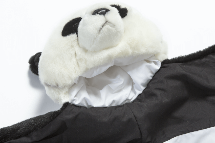Wild And Soft Disguise Panda